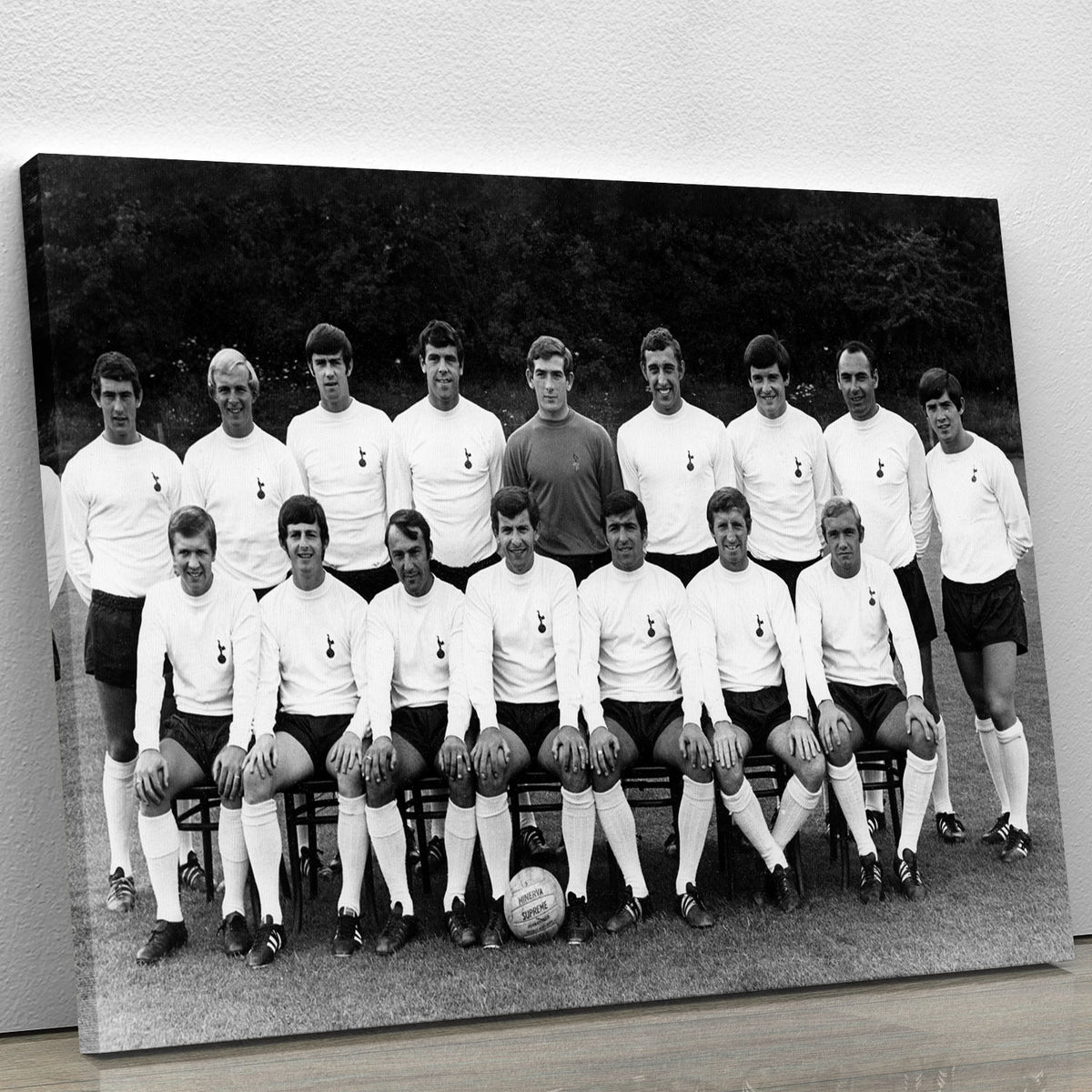 Tottenham Hotspur FC Team Players Poster 