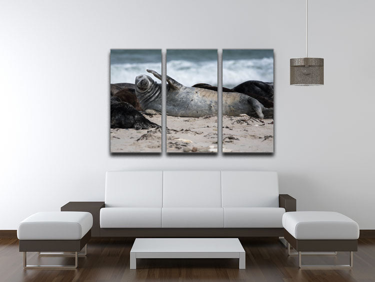 A Headache 3 Split Panel Canvas Print - 1x - 3