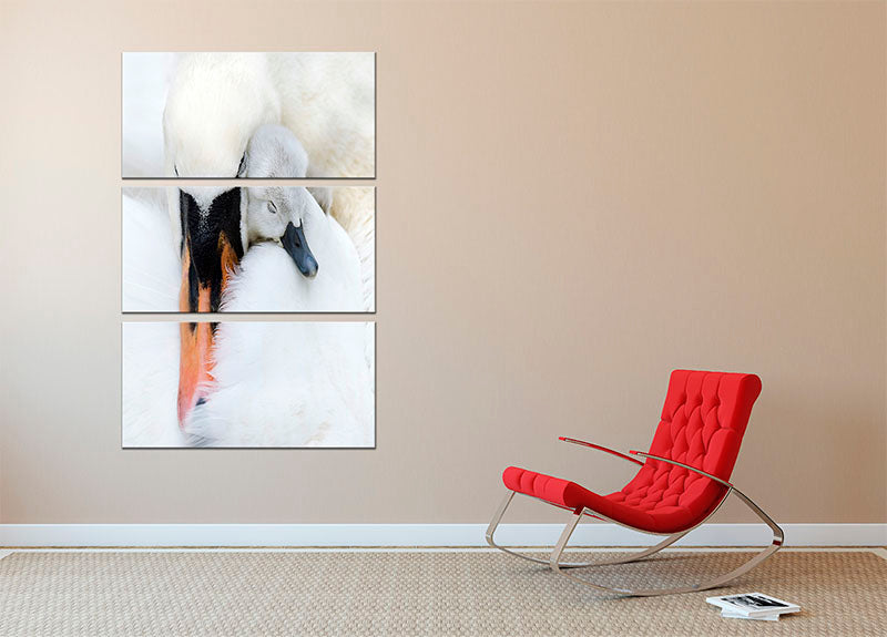 A Mother Swan 3 Split Panel Canvas Print - 1x - 2