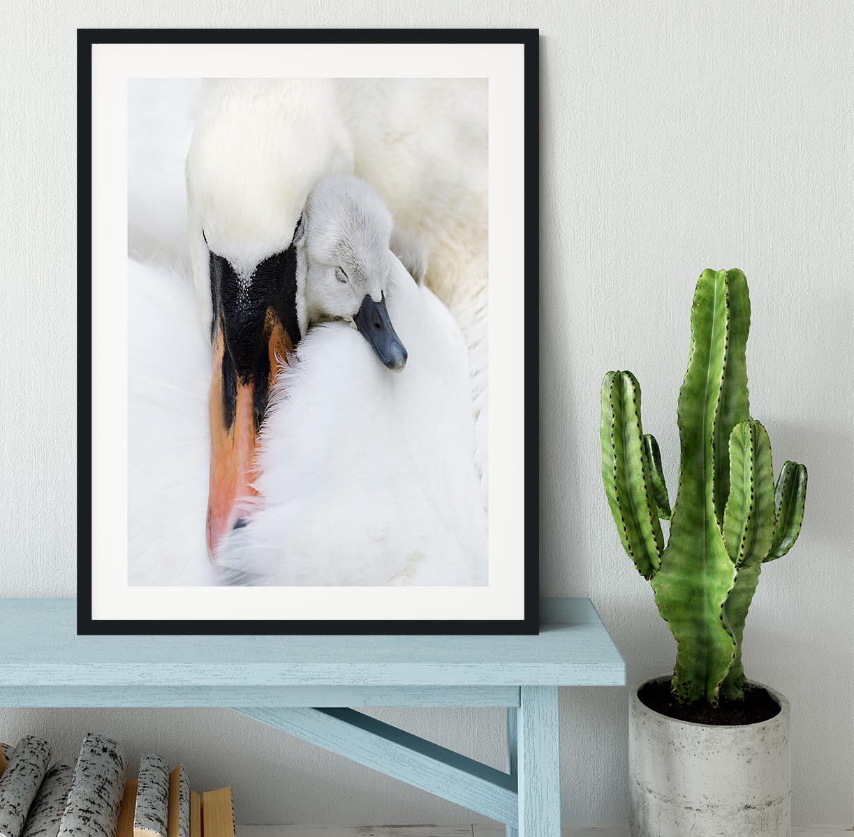 A Mother Swan Framed Print - 1x - 1