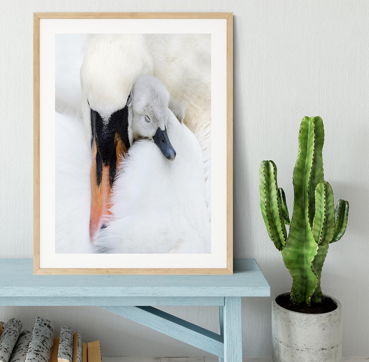 A Mother Swan Framed Print - 1x - 3