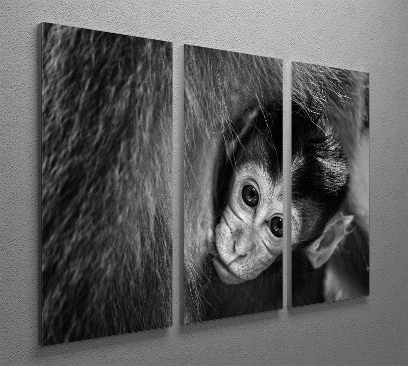 A Mothers Love 3 Split Panel Canvas Print - 1x - 2