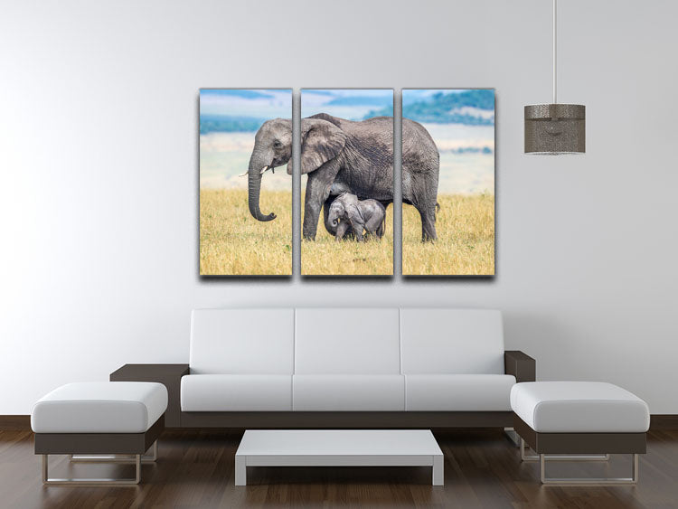 A wee one 3 Split Panel Canvas Print - 1x - 3