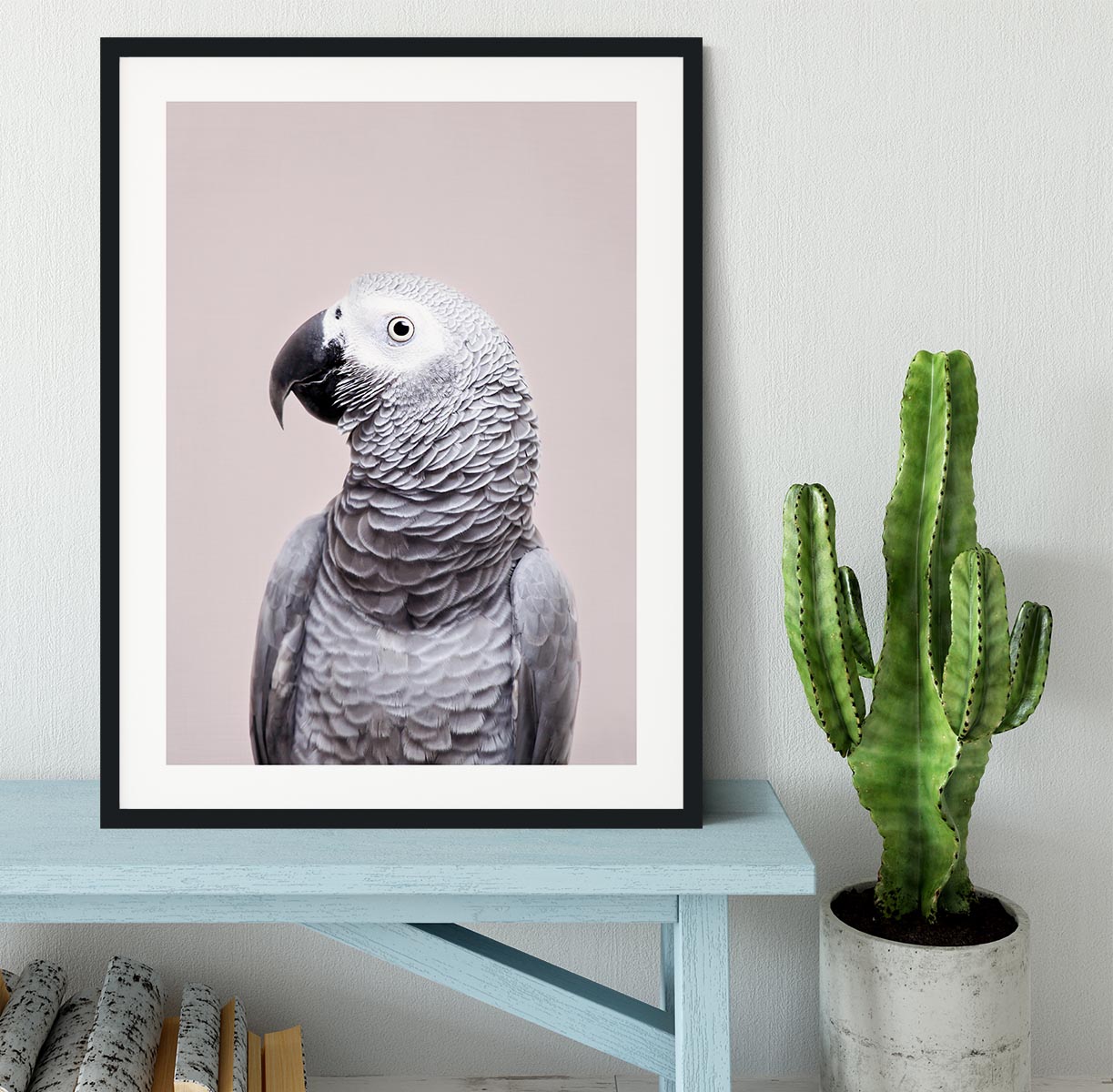 African Grey Framed Print - 1x - 1