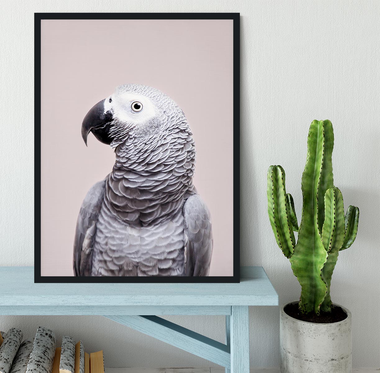 African Grey Framed Print - 1x - 2