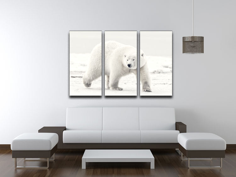 Alaskan king 3 Split Panel Canvas Print - 1x - 3