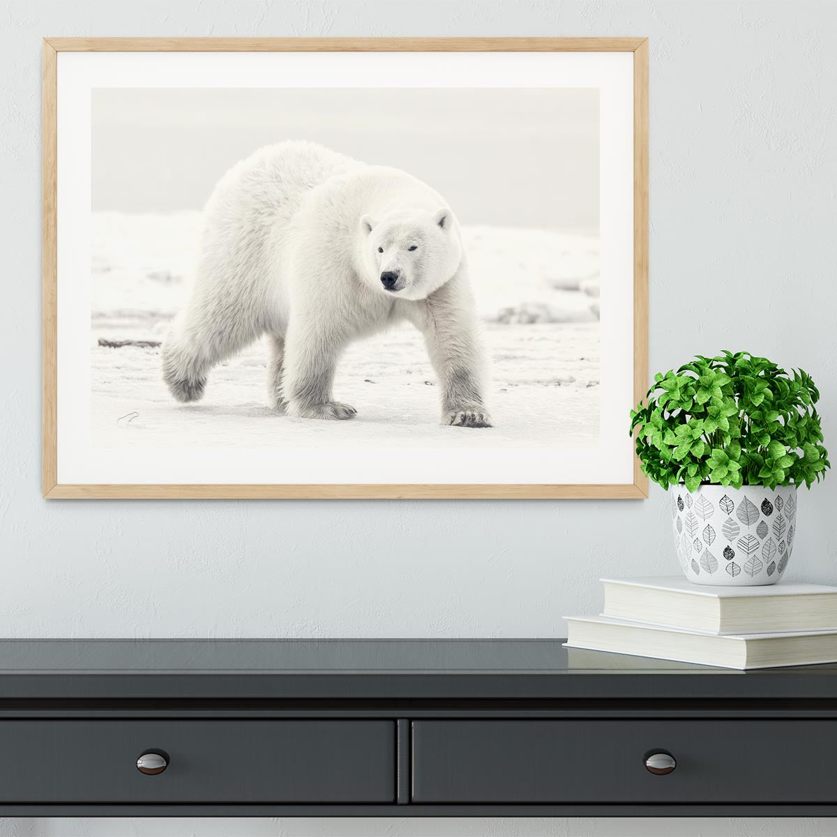 Alaskan king Framed Print - 1x - 3