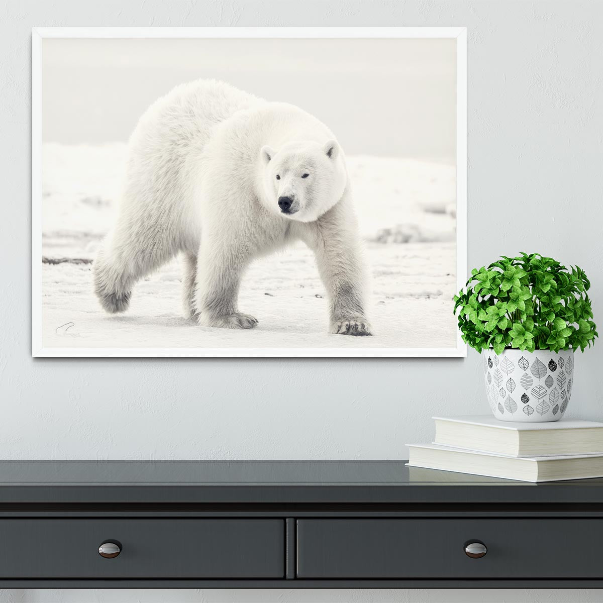 Alaskan king Framed Print - 1x -6