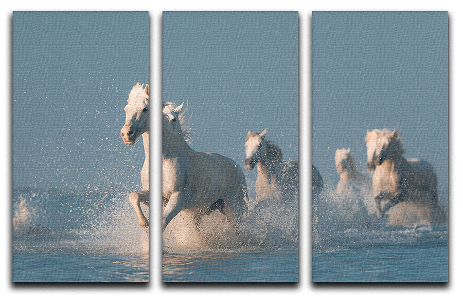 Angels of Camargue 3 Split Panel Canvas Print - 1x - 1