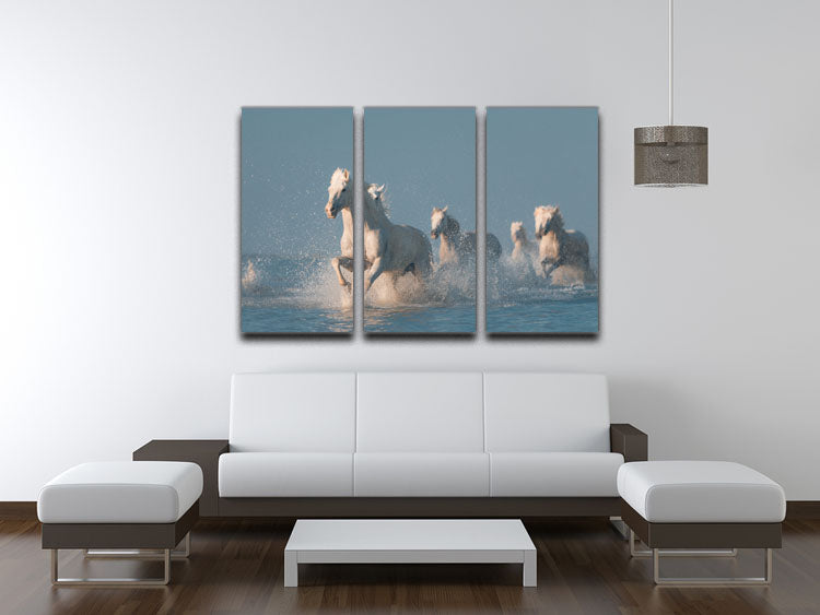 Angels of Camargue 3 Split Panel Canvas Print - 1x - 3