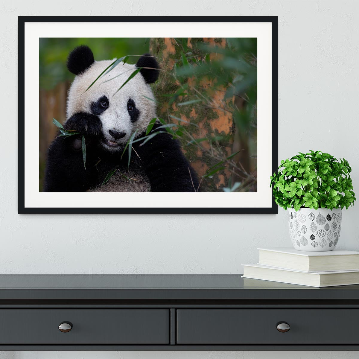 Bamboo Time Framed Print - 1x - 1