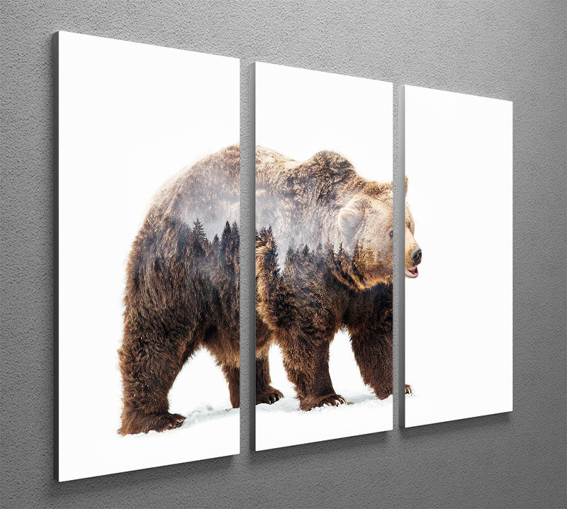 Bear 3 Split Panel Canvas Print - 1x - 2