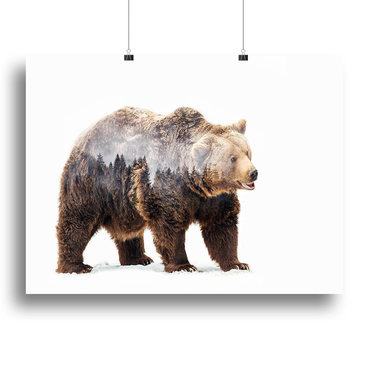 Bear Canvas Print or Poster - 1x - 2