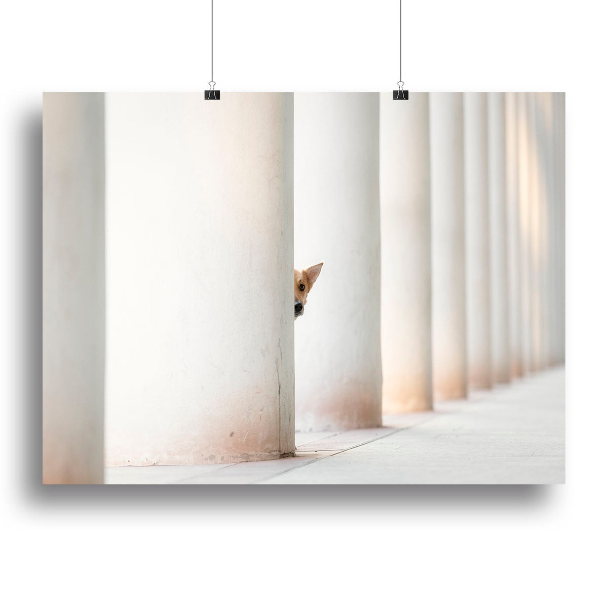 Bella and the Pillars of the Earth Canvas Print or Poster - 1x - 2