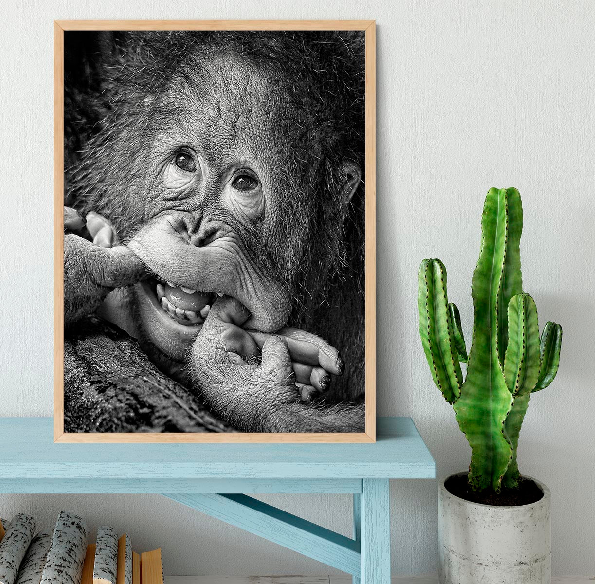 Big Smile Please Framed Print - 1x - 4