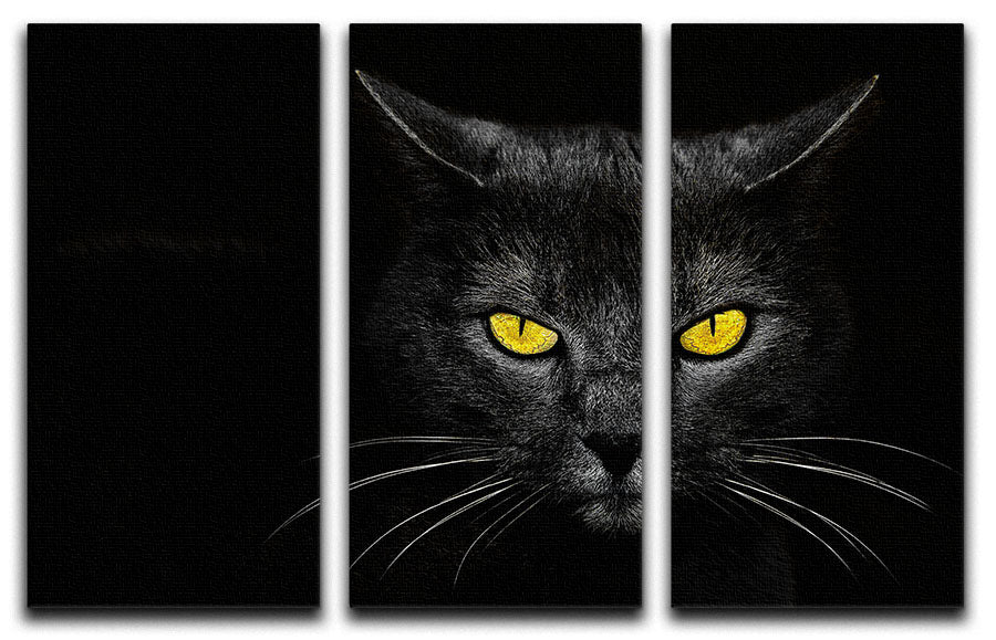 Black Cat 3 Split Panel Canvas Print - 1x - 1