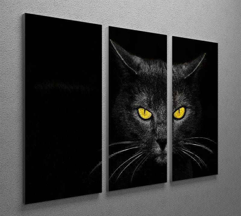 Black Cat 3 Split Panel Canvas Print - 1x - 2