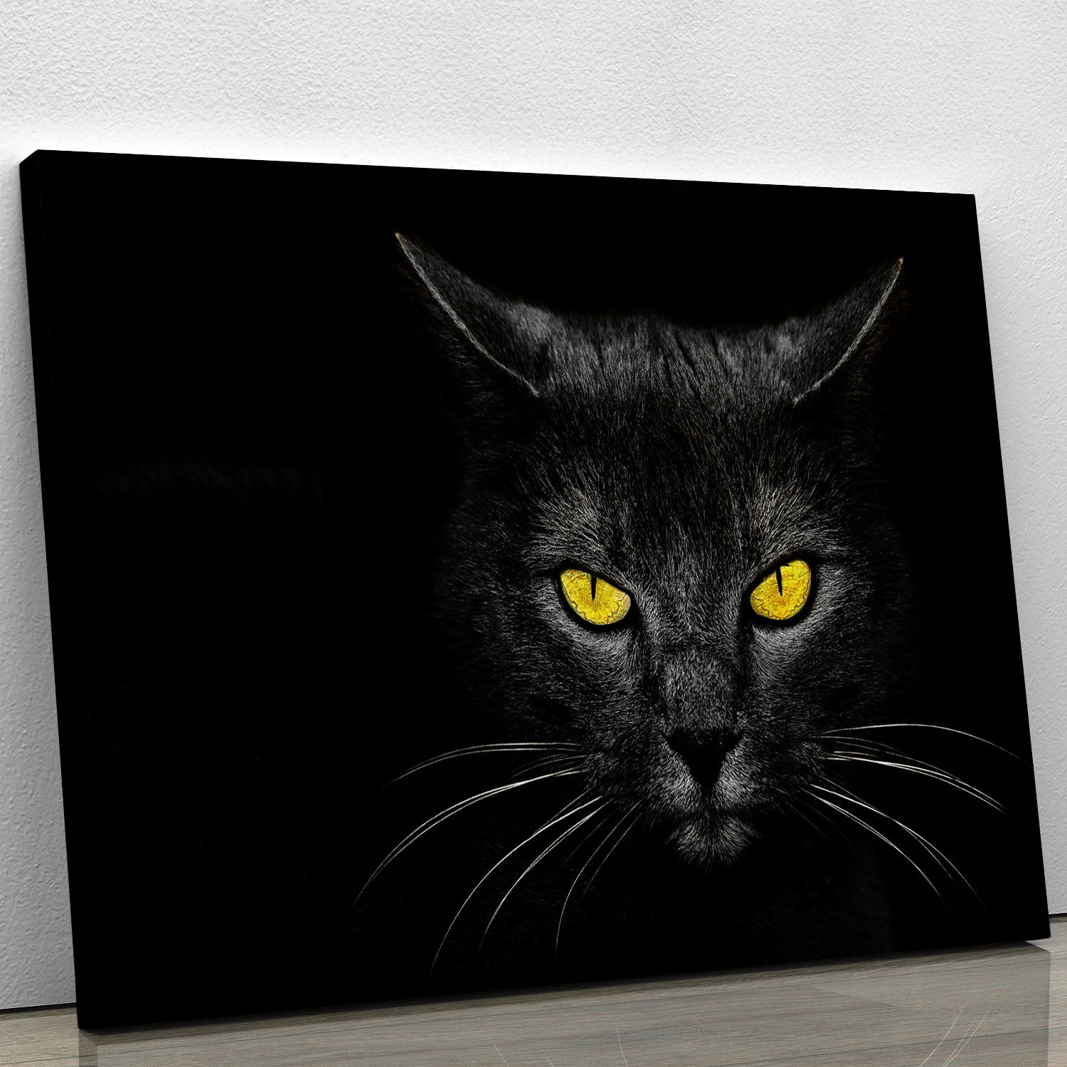 Black Cat Canvas Print or Poster - 1x - 1
