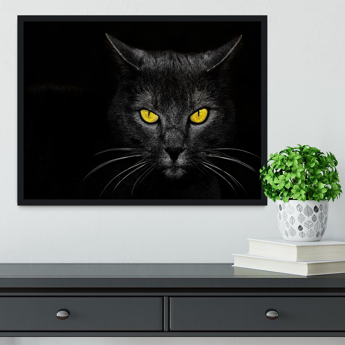 Black Cat Framed Print - 1x - 2