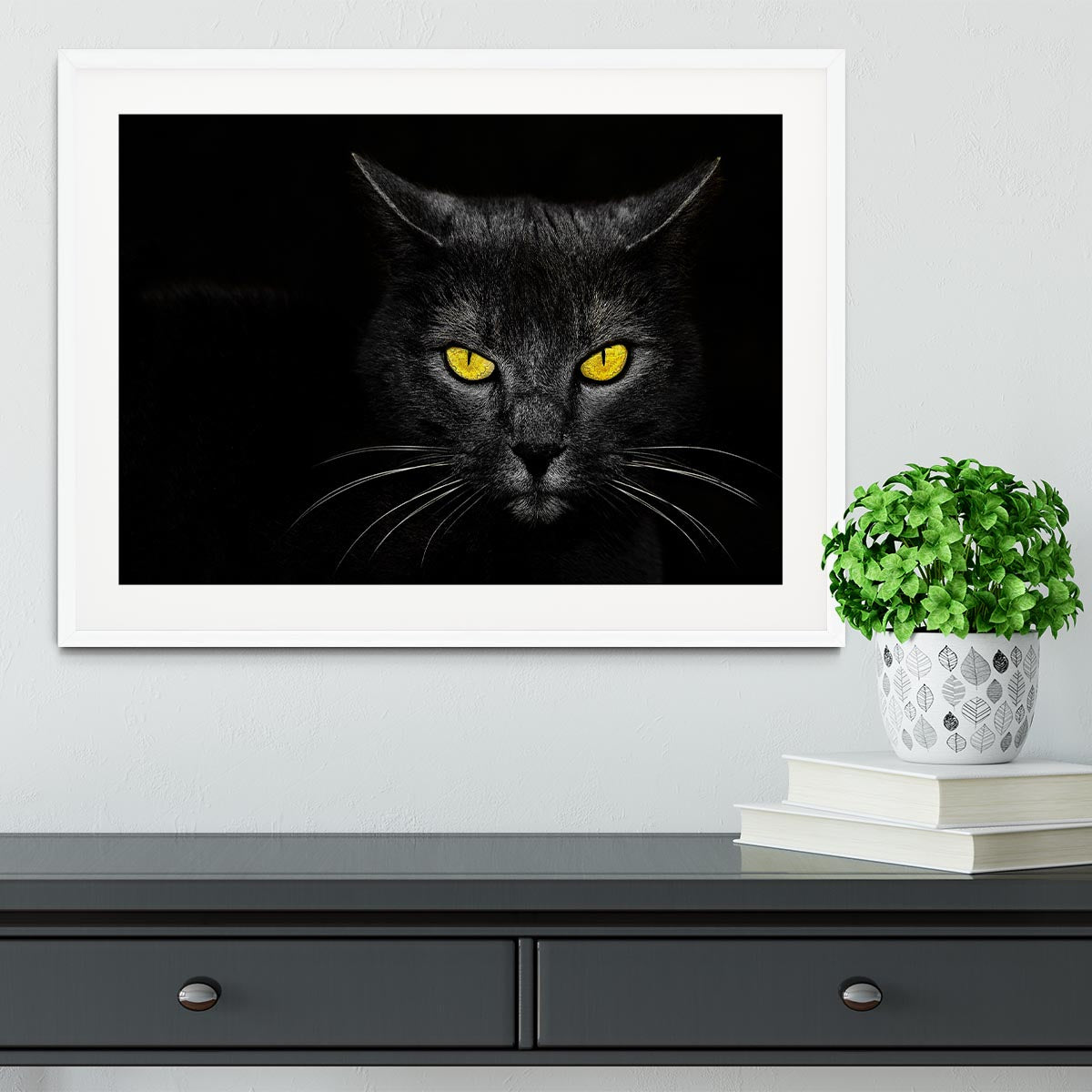 Black Cat Framed Print - 1x - 5