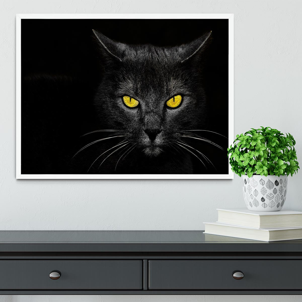 Black Cat Framed Print - 1x -6