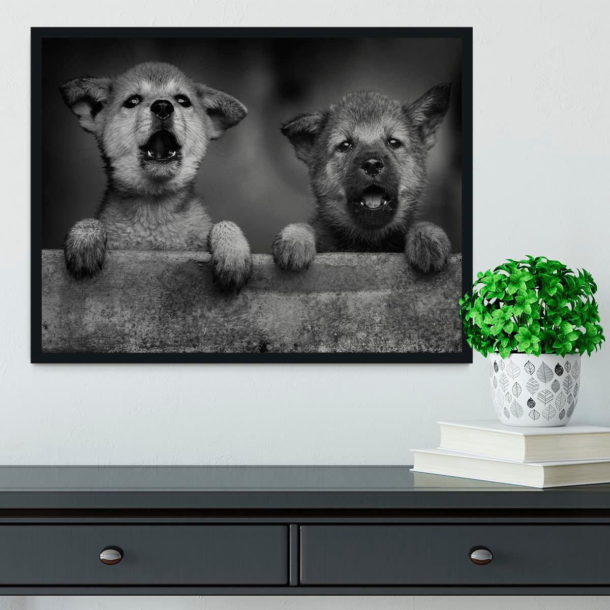 Black and White Puppies Framed Print - 1x - 2