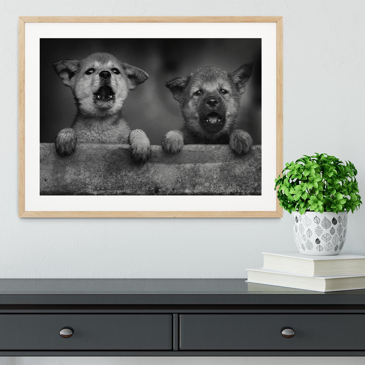 Black and White Puppies Framed Print - 1x - 3