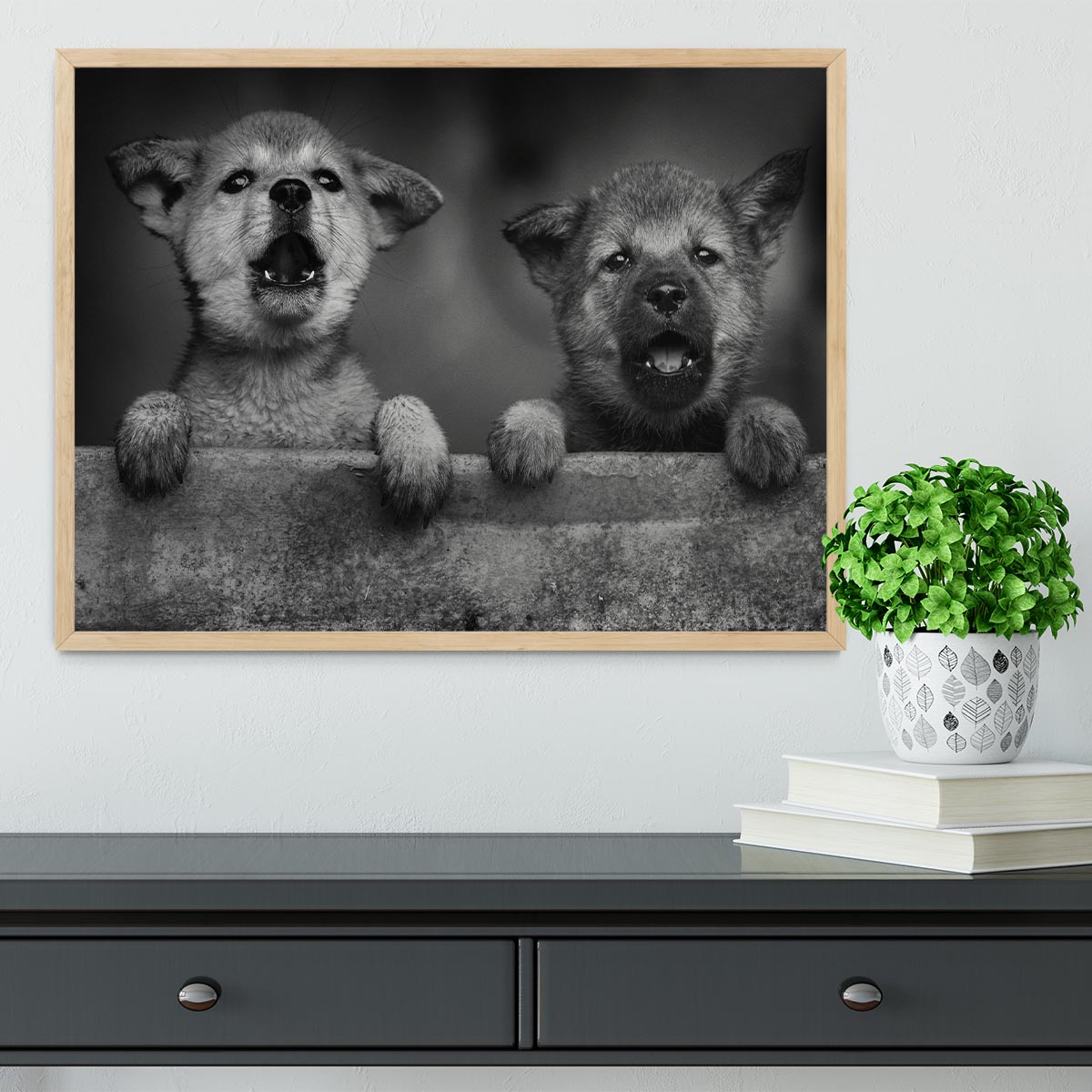 Black and White Puppies Framed Print - 1x - 4