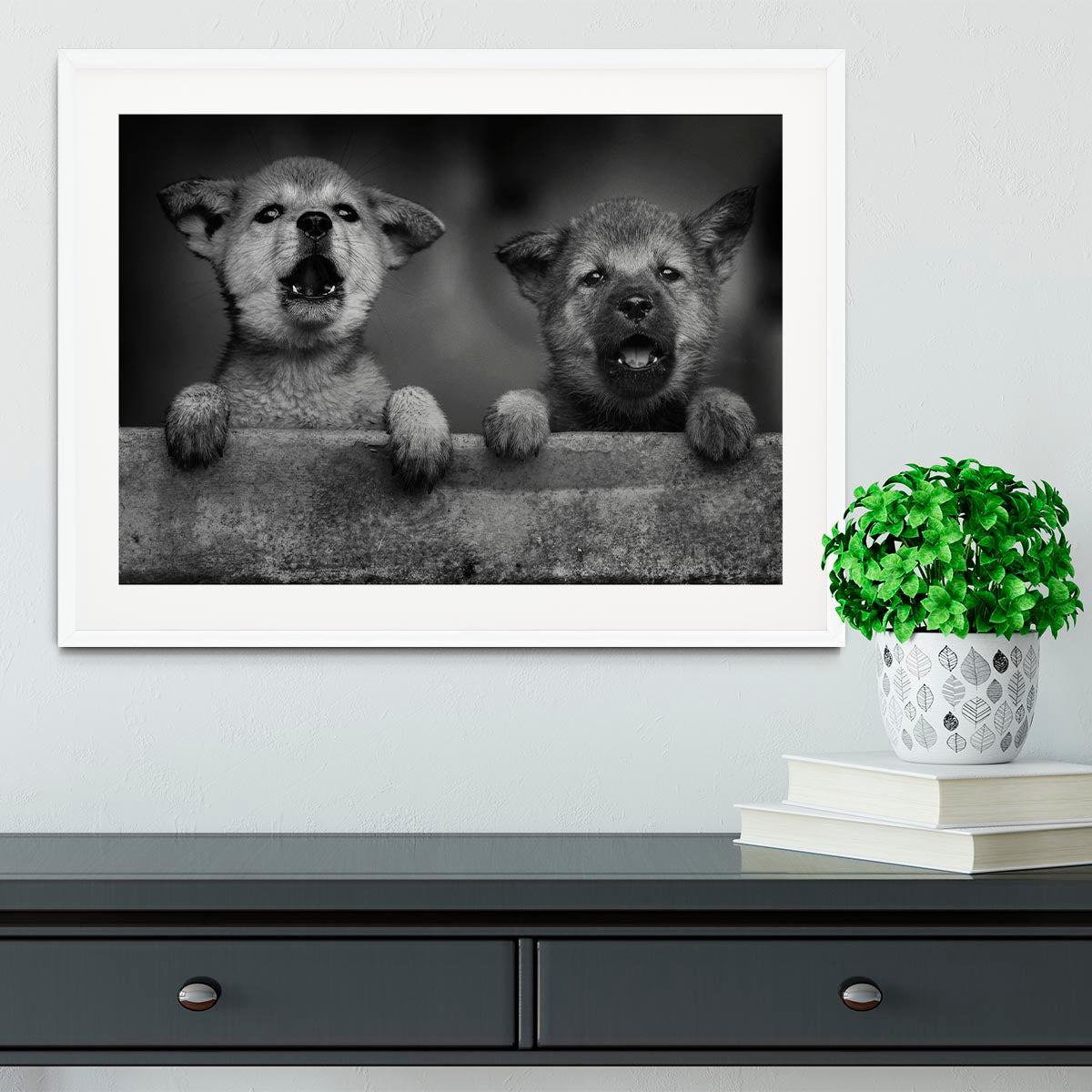 Black and White Puppies Framed Print - 1x - 5