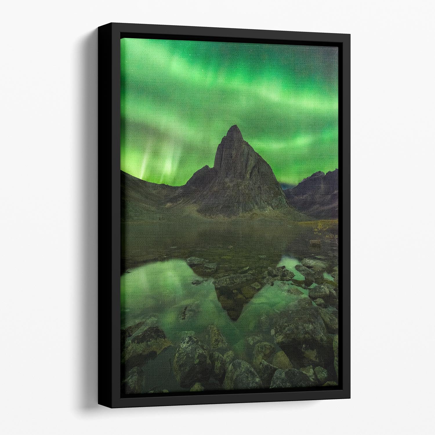 Blaze of Beauty Floating Framed Canvas - Canvas Art Rocks - 1