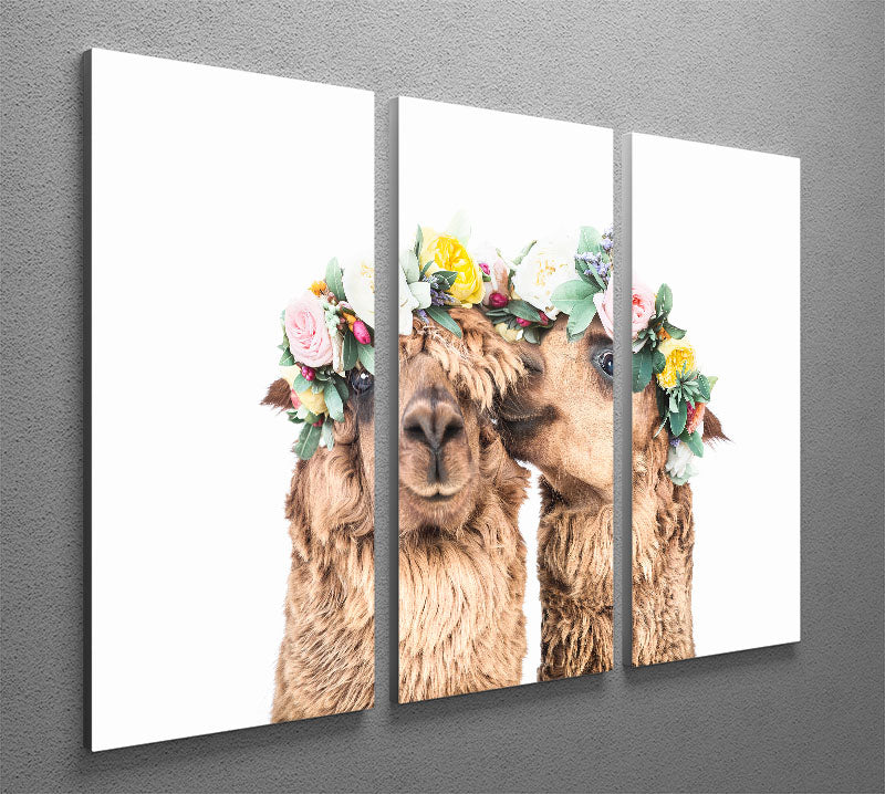 Boho Alpacas 3 Split Panel Canvas Print - 1x - 2