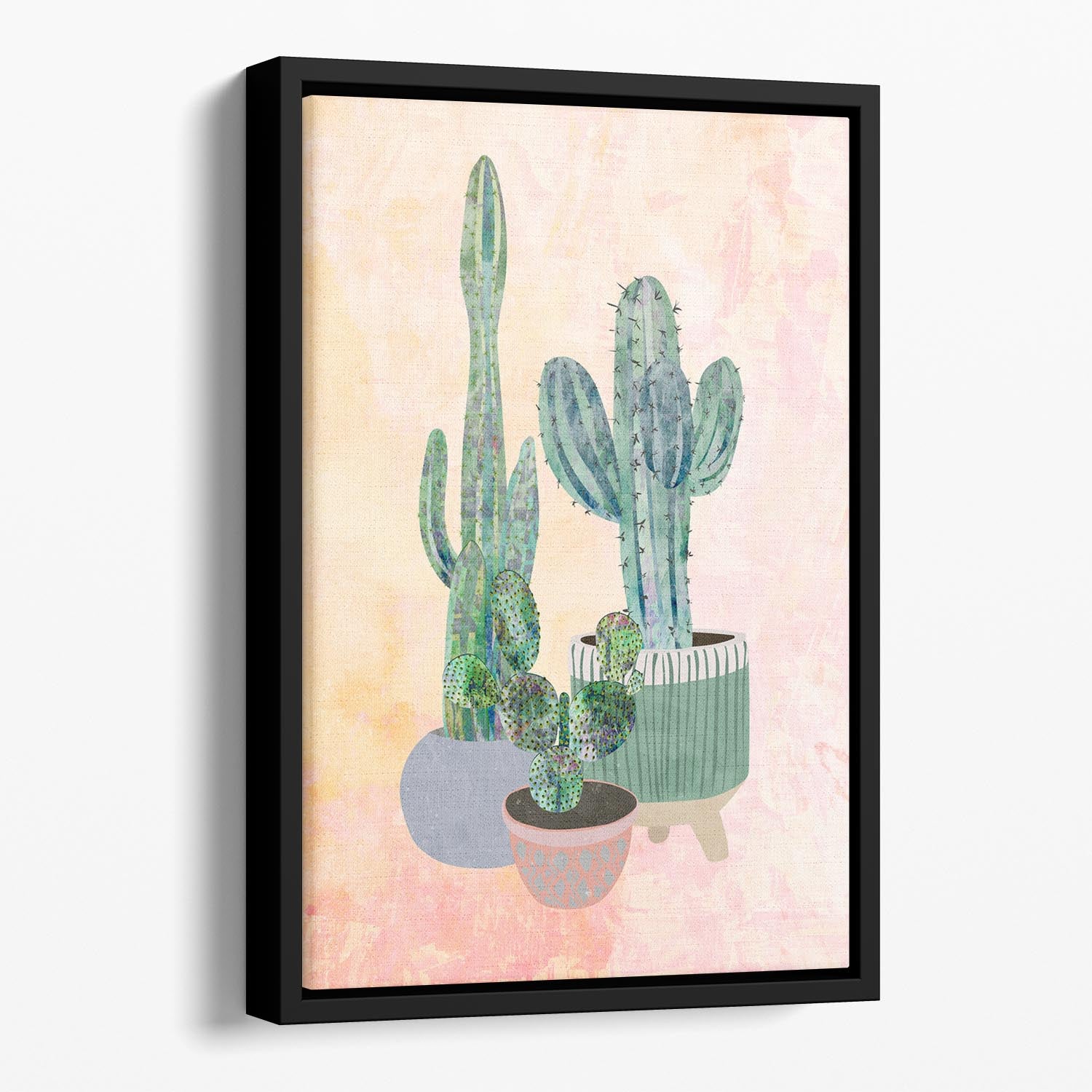 Boho Cactus Trio Floating Framed Canvas - 1x - 1