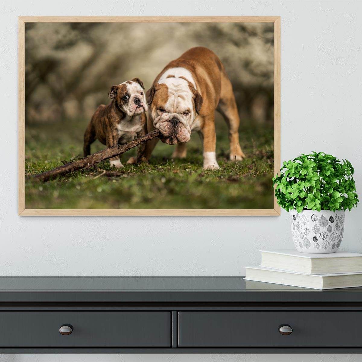 Busy with a stick Framed Print - 1x - 4