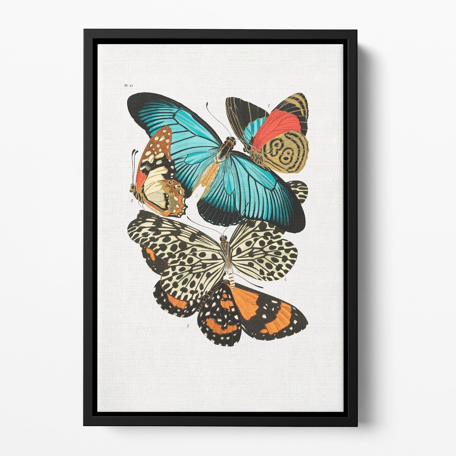 Butterflies Part 11 Floating Framed Canvas - Canvas Art Rocks - 2