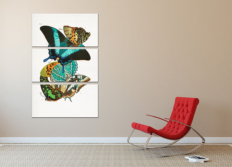 Butterflies Part 13 3 Split Panel Canvas Print - Canvas Art Rocks - 2