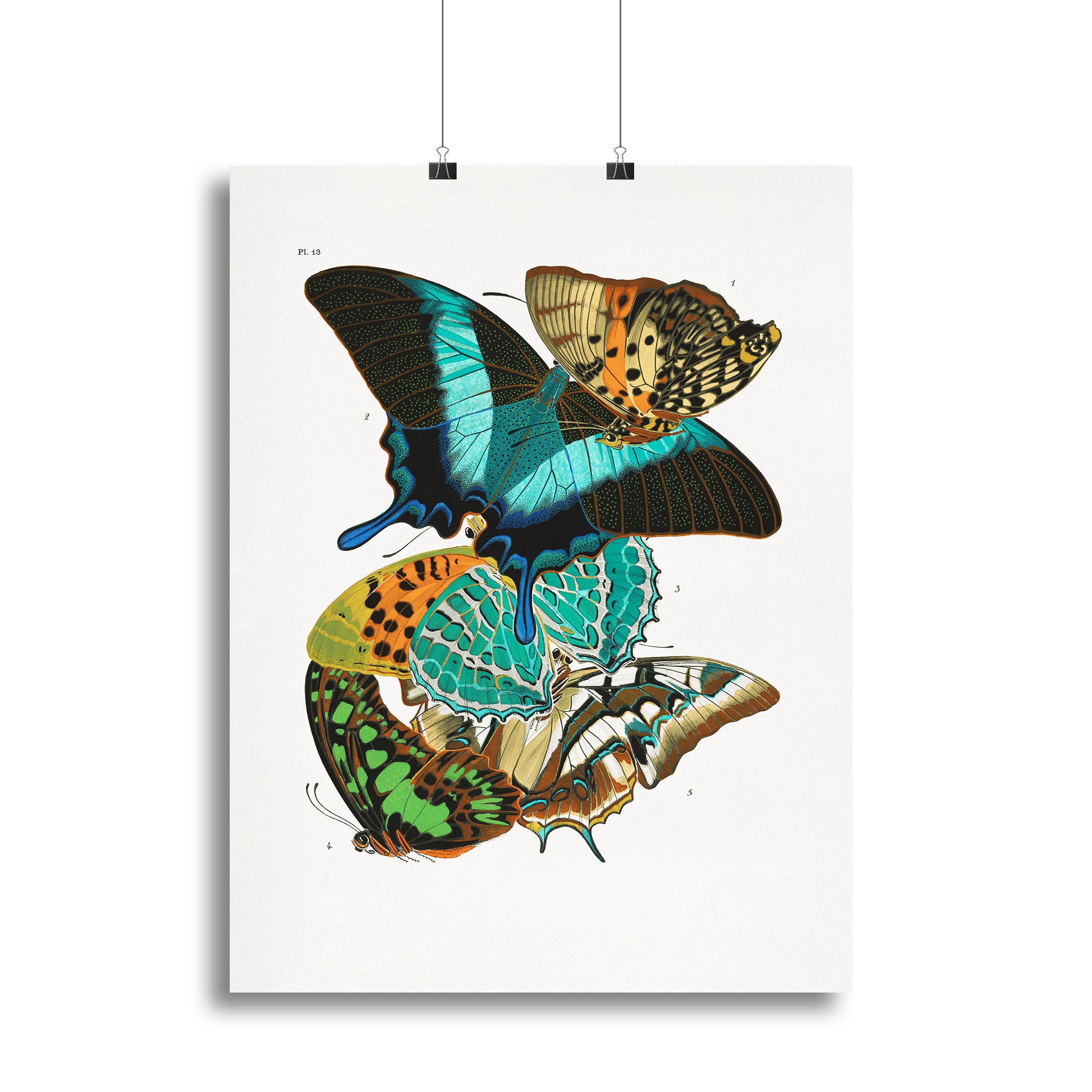 Butterflies Part 13 Canvas Print or Poster - Canvas Art Rocks - 2