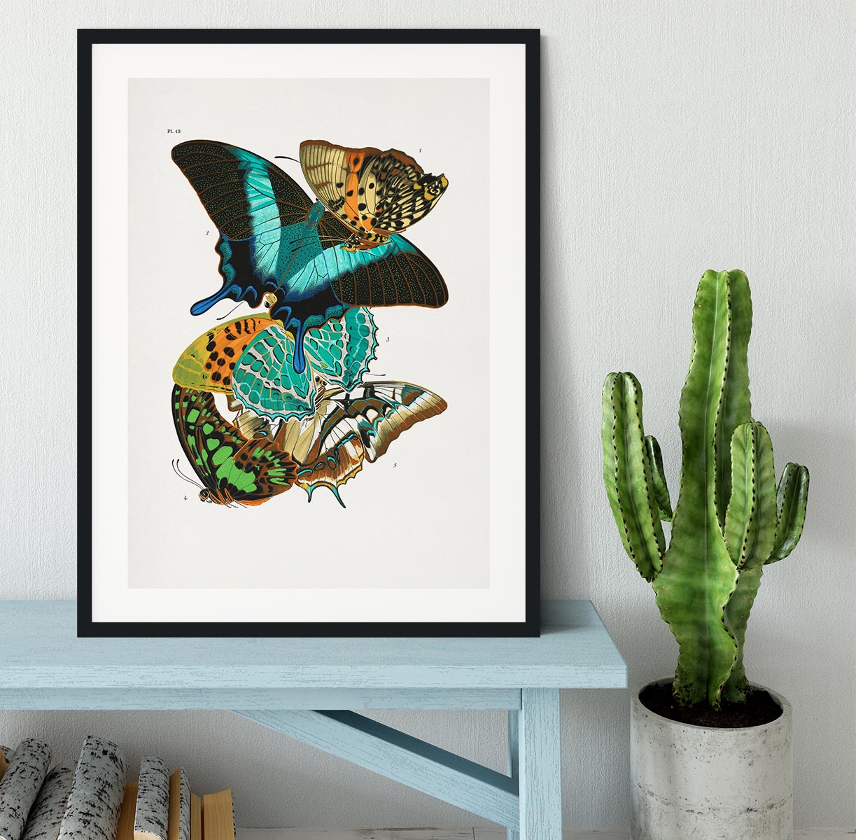 Butterflies Part 13 Framed Print - Canvas Art Rocks - 1