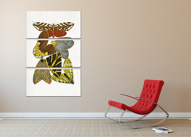 Butterflies Part 14 3 Split Panel Canvas Print - Canvas Art Rocks - 2