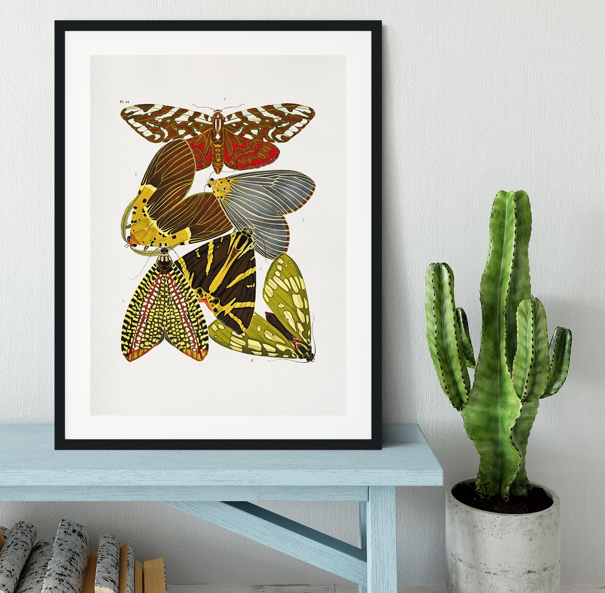 Butterflies Part 14 Framed Print - Canvas Art Rocks - 1