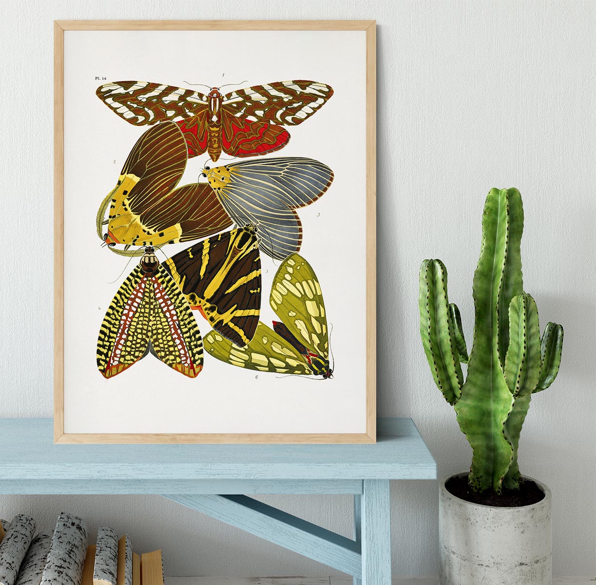 Butterflies Part 14 Framed Print - Canvas Art Rocks - 4