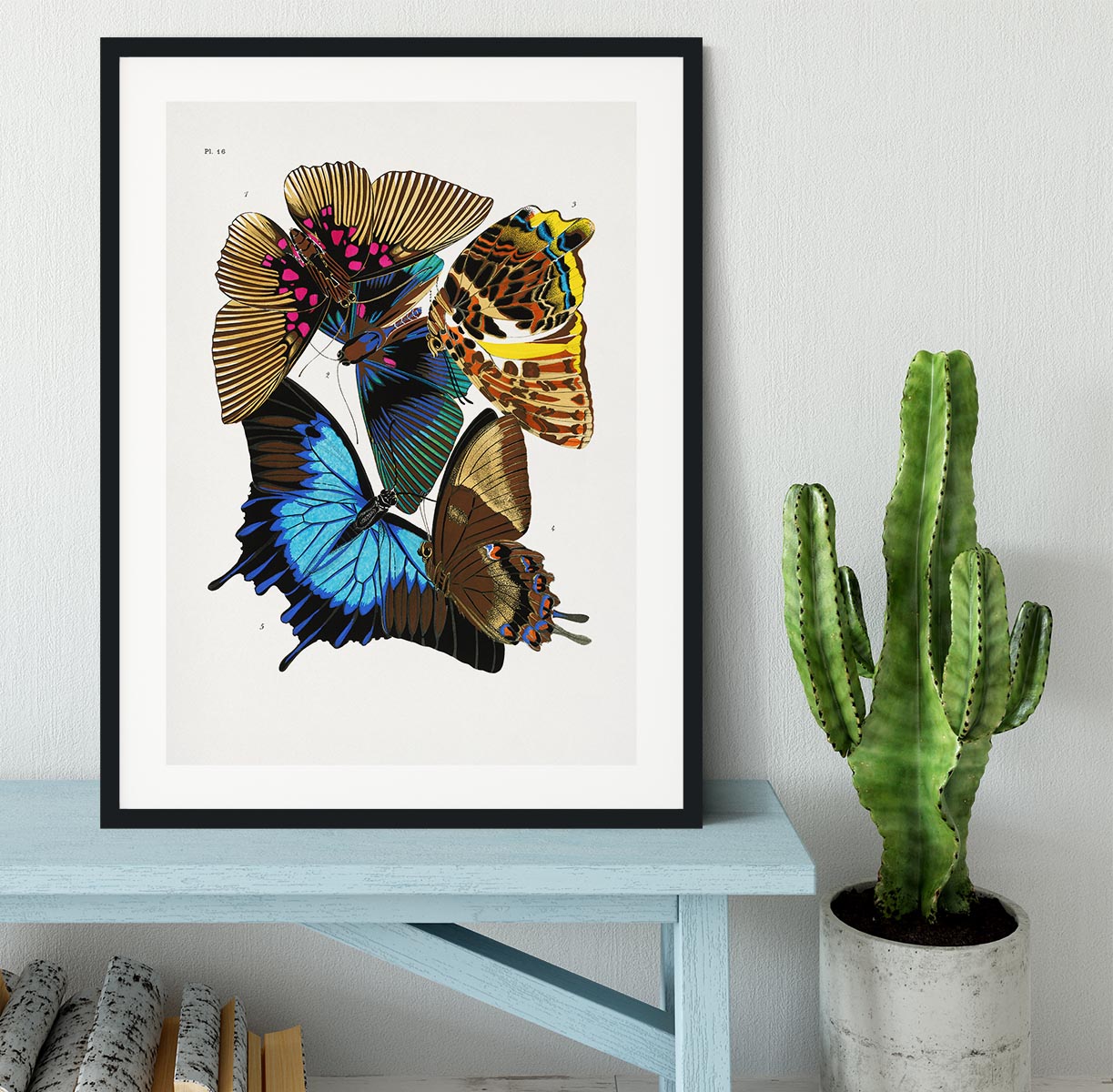 Butterflies Part 16 Framed Print - Canvas Art Rocks - 1