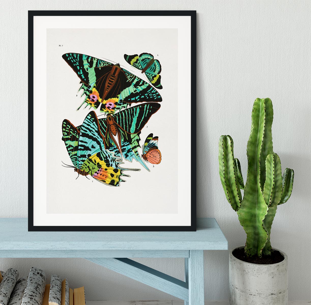 Butterflies Part 7 Framed Print - Canvas Art Rocks - 1