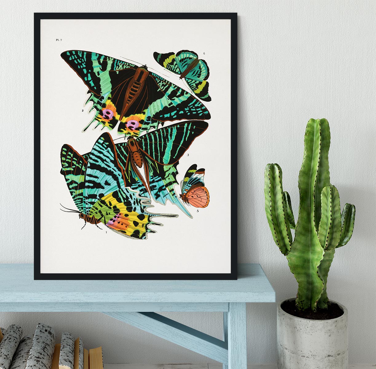 Butterflies Part 7 Framed Print - Canvas Art Rocks - 2