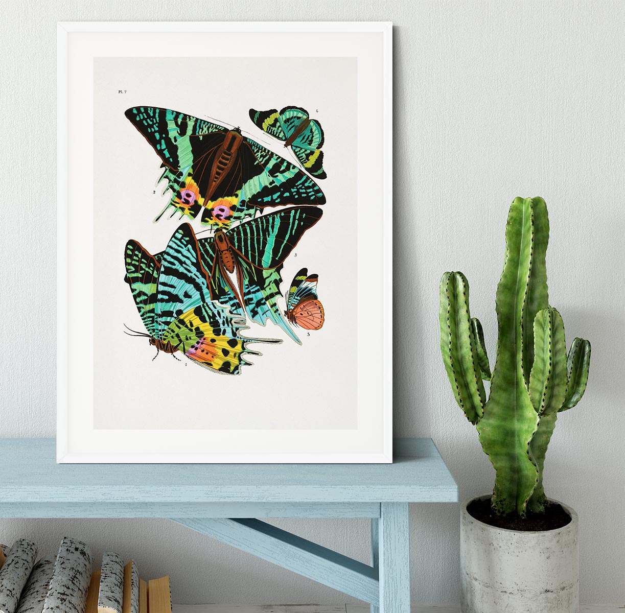 Butterflies Part 7 Framed Print - Canvas Art Rocks - 5