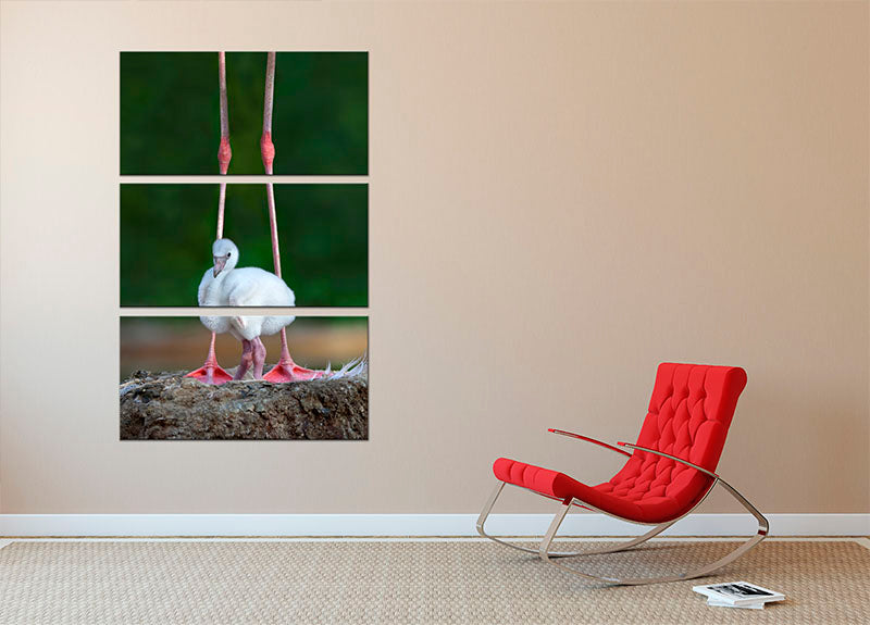 Caribbean flamingo chick 3 Split Panel Canvas Print - 1x - 2