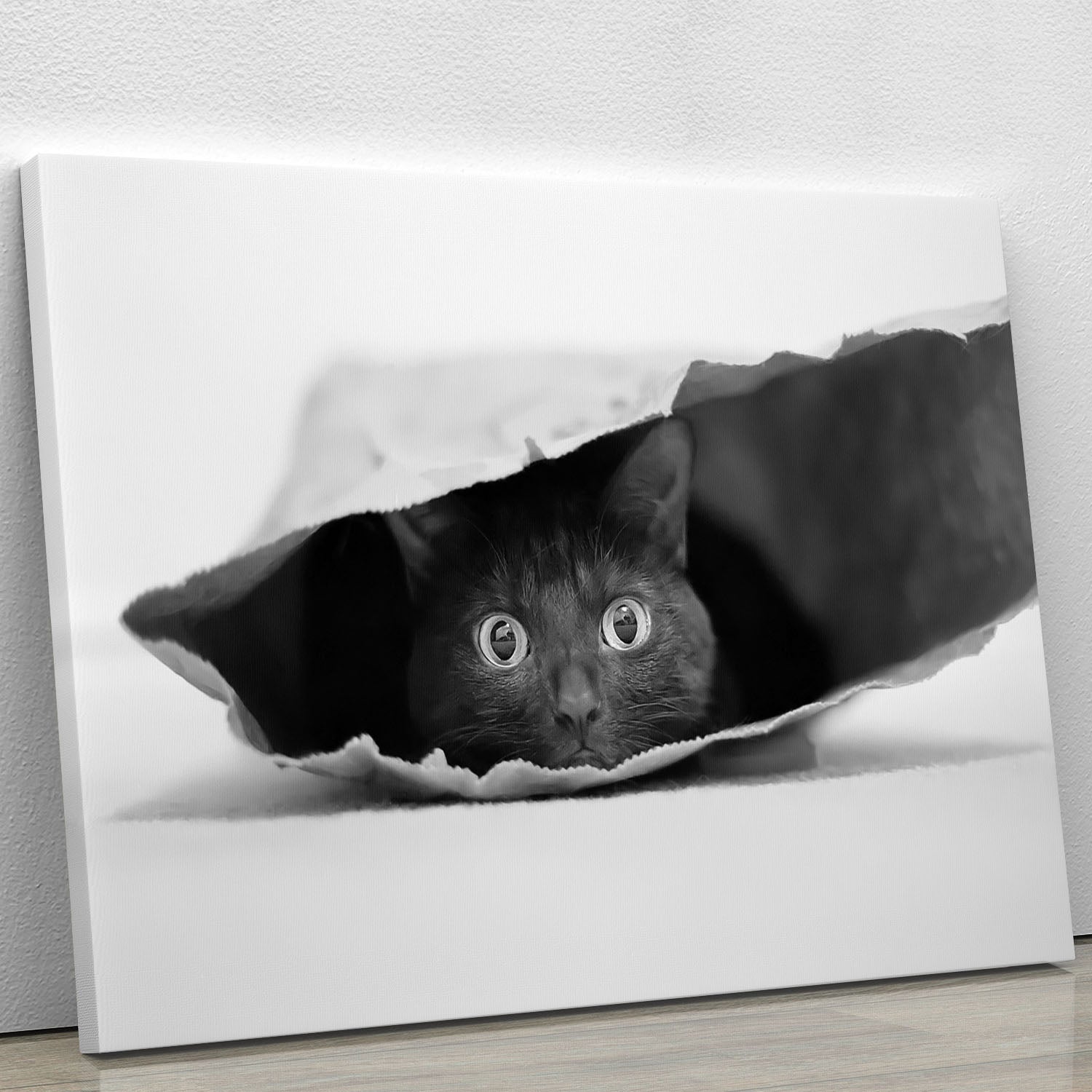 Cat in a bag Canvas Print or Poster - 1x - 1