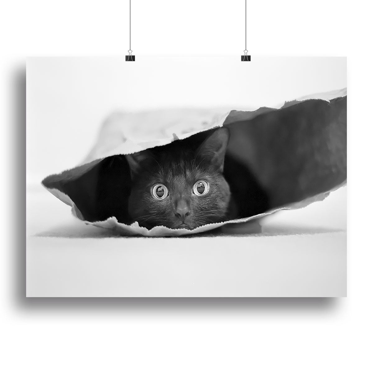 Cat in a bag Canvas Print or Poster - 1x - 2