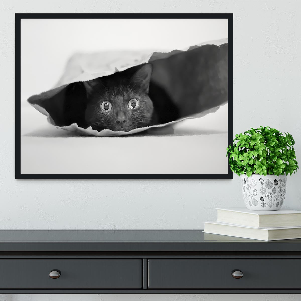 Cat in a bag Framed Print - 1x - 2