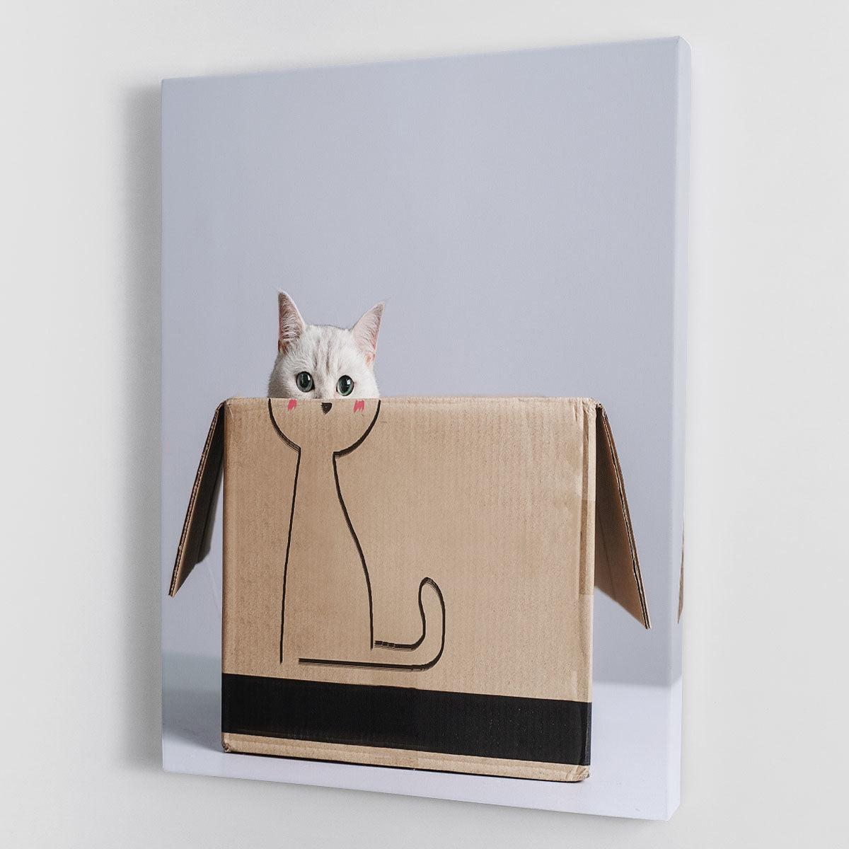 Cat in the box Canvas Print or Poster - 1x - 1