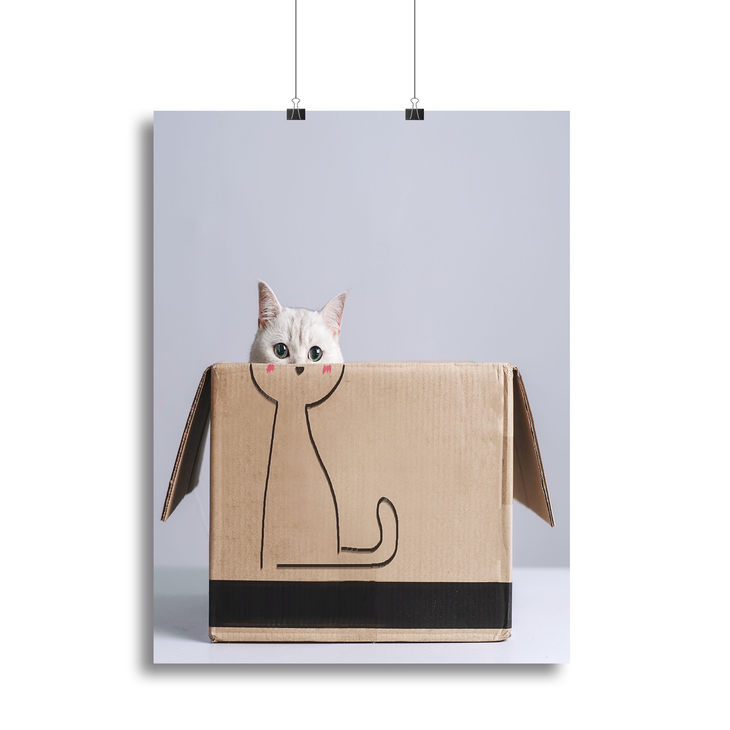 Cat in the box Canvas Print or Poster - 1x - 2